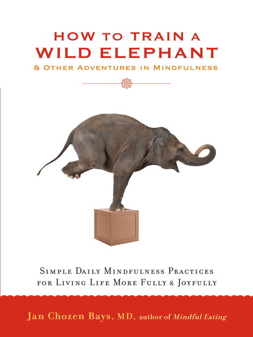 Title details for How to Train a Wild Elephant by Jan Chozen Bays - Wait list
